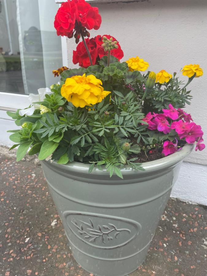 Unique Belfast Stay Εξωτερικό φωτογραφία